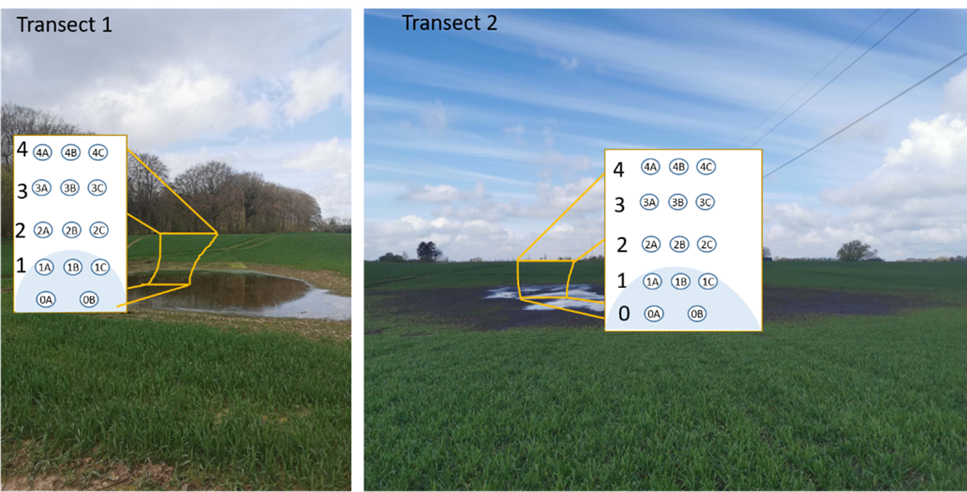 Figure 1. Transects 1 and 2, showing positions along each transect from the depression center to uphill area for field flux measurements of N2O and CH4.